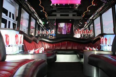 Mini-Bus - Limo / Party Style 