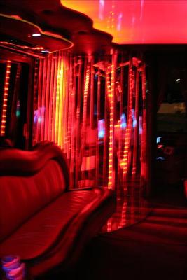 Mini-Bus - Limo / Party Style 