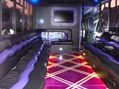 Mini-Bus - Limo / Party Style 