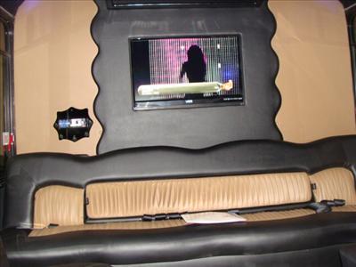 Mini-Bus - Limo / Party Style 