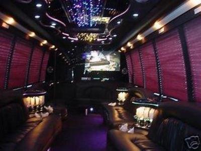 Mini-Bus - Limo / Party Style 