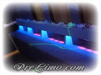 Mini-Bus - Limo / Party Style 