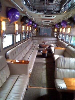 Mini-Bus - Limo / Party Style 