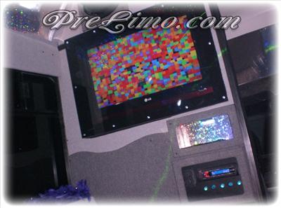 Mini-Bus - Limo / Party Style 
