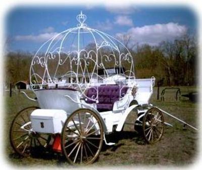 Carriage - Horse & Carriage 