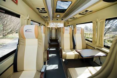 Mini-Bus - Limo / Party Style 