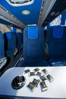 Mini-Bus - Limo / Party Style 