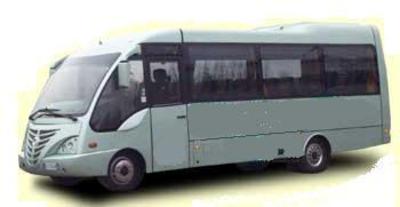 Mini-Bus - Limo / Party Style 