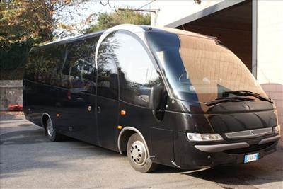 Mini-Bus - Limo / Party Style 