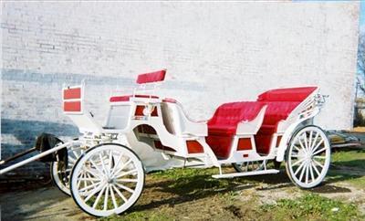 Carriage - Horse & Carriage 