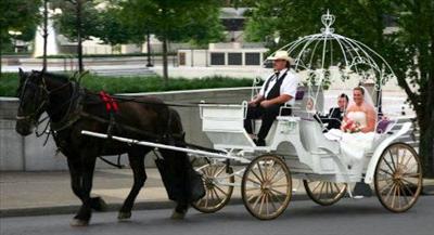 Carriage - Horse & Carriage 