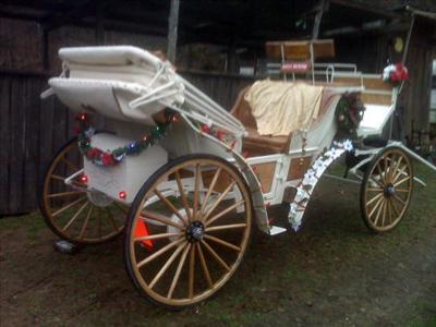 Carriage - Horse & Carriage 