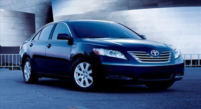 Sedan - Toyota Camry