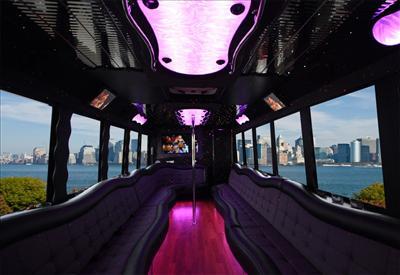 Mini-Bus - Limo / Party Style 