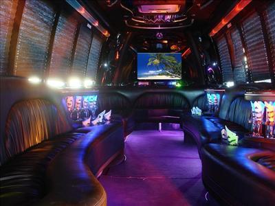 Mini-Bus - Limo / Party Style 