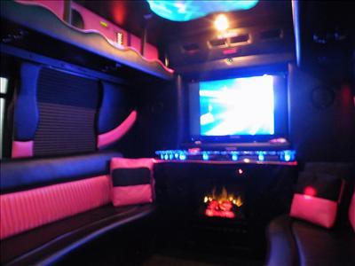 Mini-Bus - Limo / Party Style 
