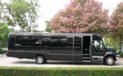 Mini-Bus - Limo / Party Style 