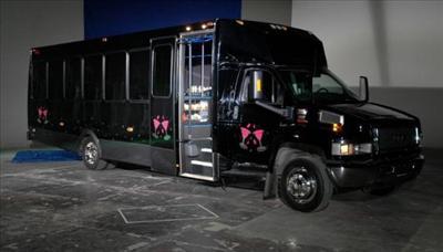 Mini-Bus - Limo / Party Style 