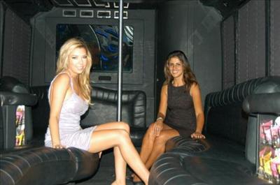 Mini-Bus - Limo / Party Style 