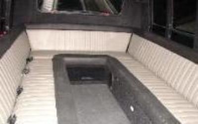 Mini-Bus - Limo / Party Style 