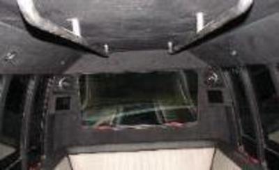 Mini-Bus - Limo / Party Style 