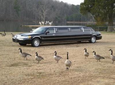 Stretch Limo - Lincoln Town Car