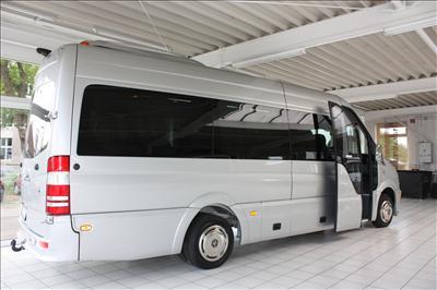 Mini-Bus - Limo / Party Style 