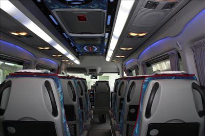 Mini-Bus - Limo / Party Style 