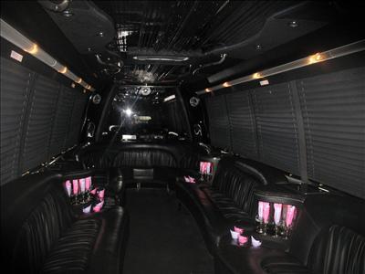 Mini-Bus - Limo / Party Style 