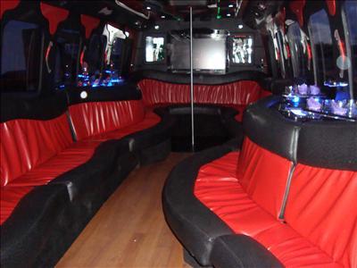 Mini-Bus - Limo / Party Style 