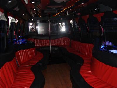 Mini-Bus - Limo / Party Style 