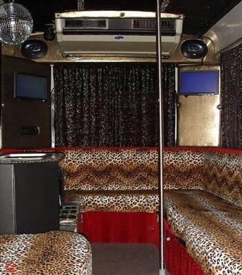 Mini-Bus - Limo / Party Style 