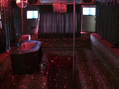 Mini-Bus - Limo / Party Style 