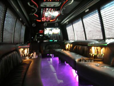 Mini-Bus - Limo / Party Style 