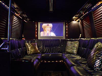 Mini-Bus - Limo / Party Style 