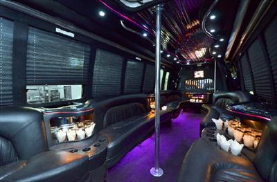 Mini-Bus - Limo / Party Style 