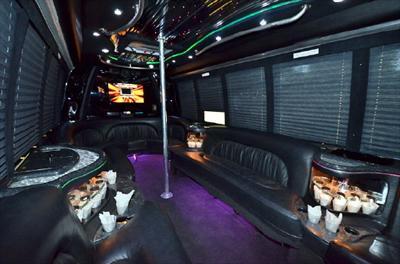 Mini-Bus - Limo / Party Style 