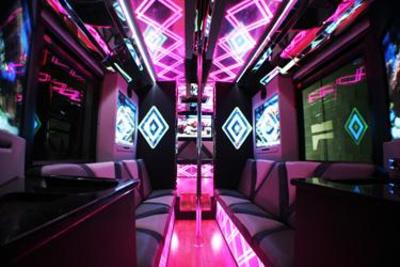 Mini-Bus - Limo / Party Style 