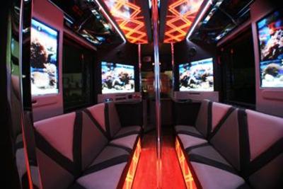 Mini-Bus - Limo / Party Style 