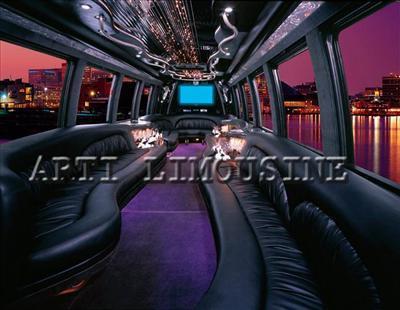 Mini-Bus - Limo / Party Style 