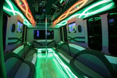 Mini-Bus - Limo / Party Style 