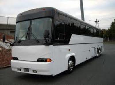 Mini-Bus - Limo / Party Style 